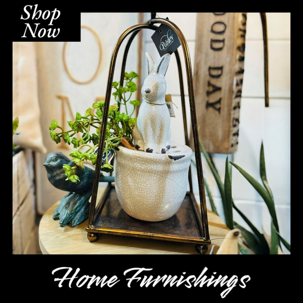 Home Collection – Elegant and Stylish Home Decor
