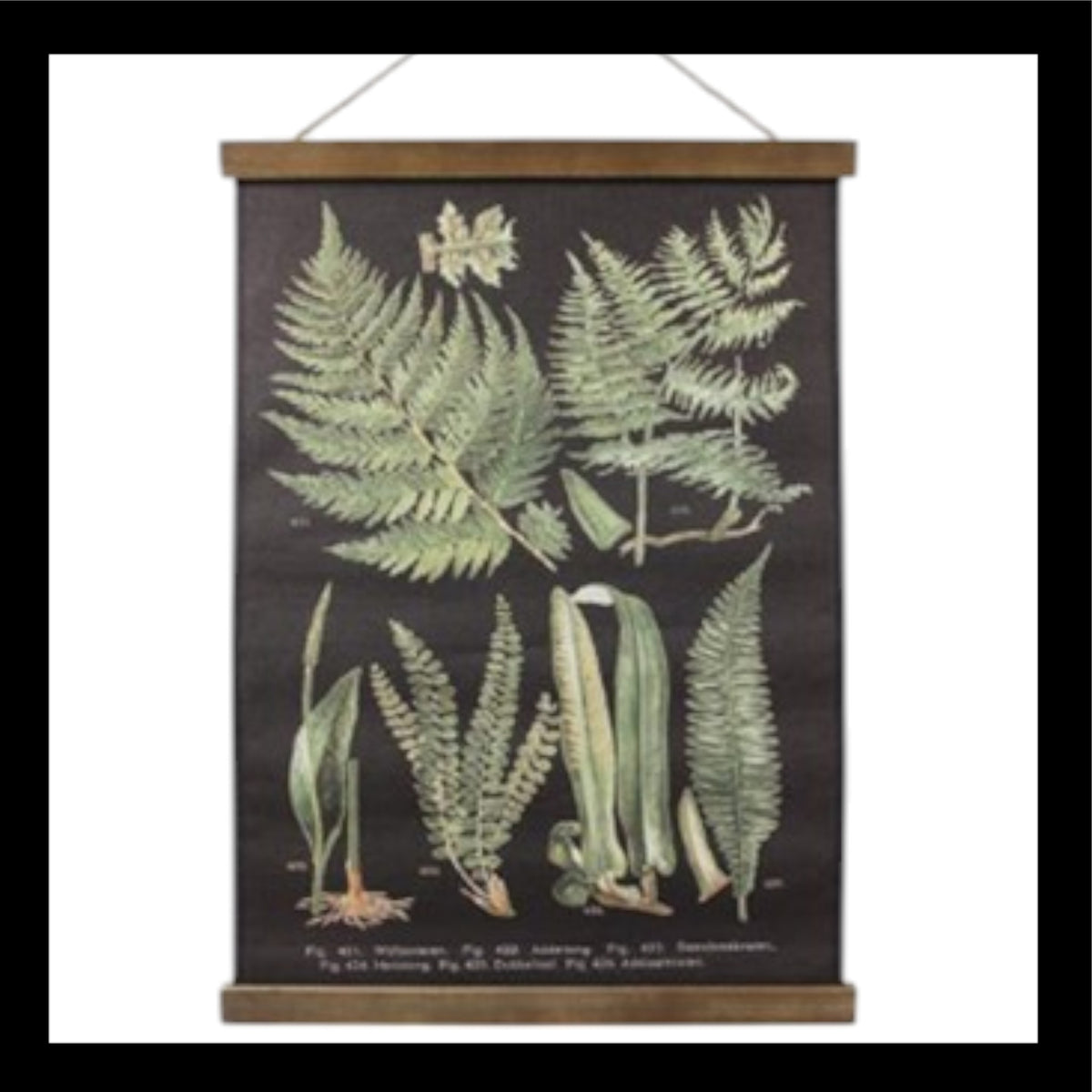 Brown Botanical Canvas A