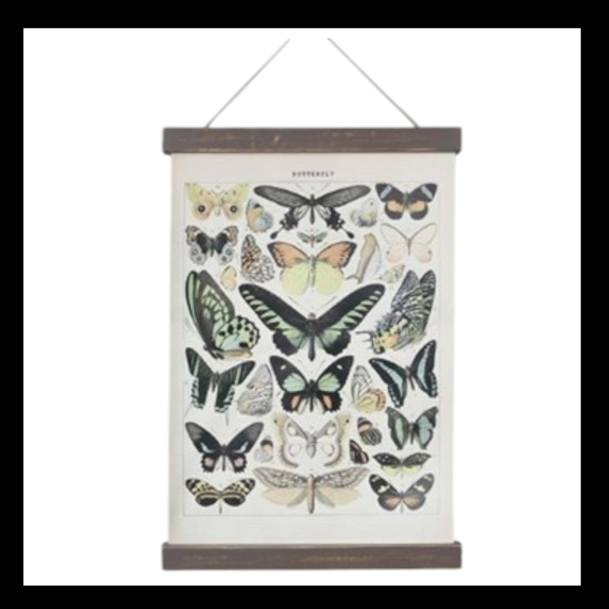 Canvas Butterfly Wall Art B