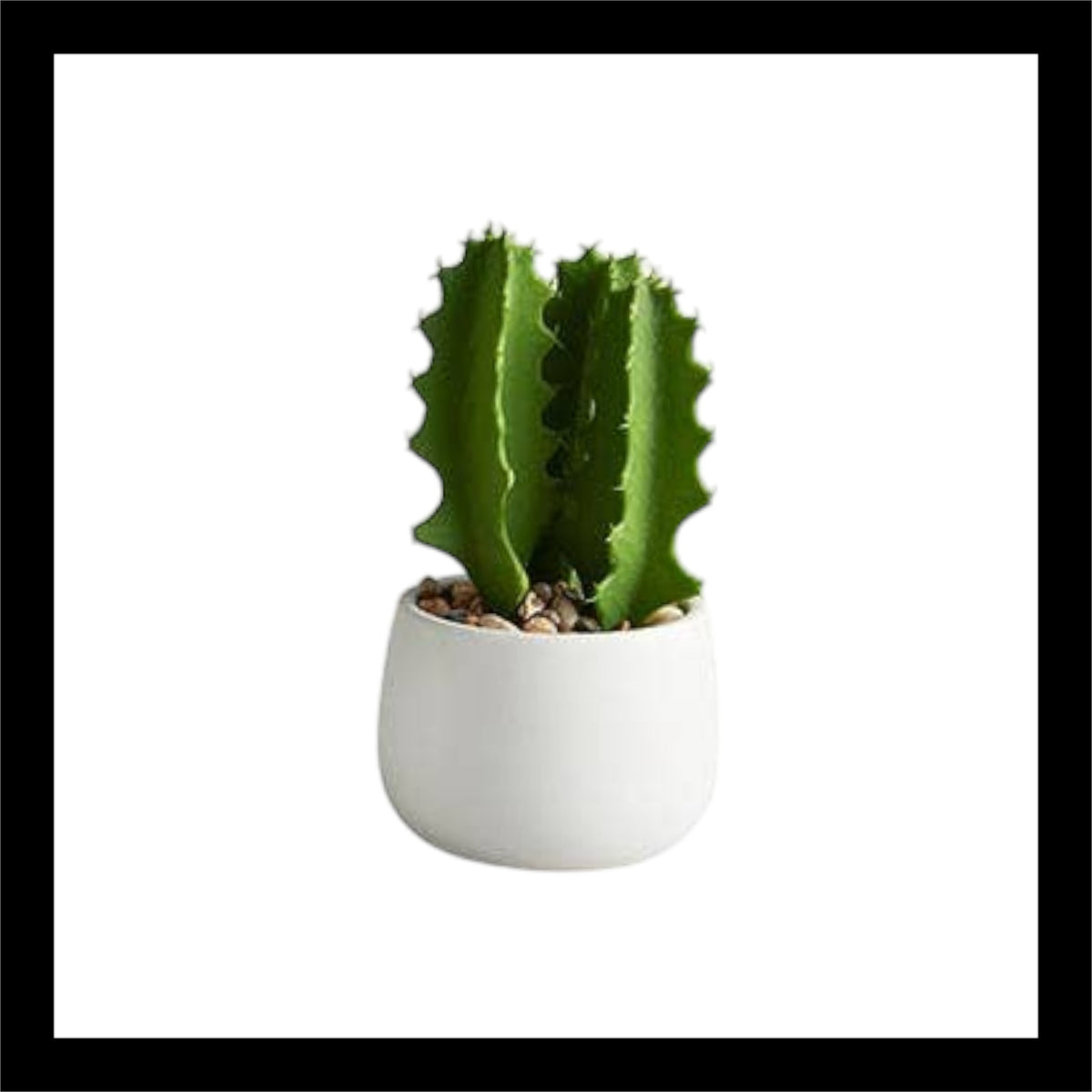 Faux potted milk tree cactus – Realistic artificial cactus in a modern white pot with pebbles, perfect for home or office decor.
