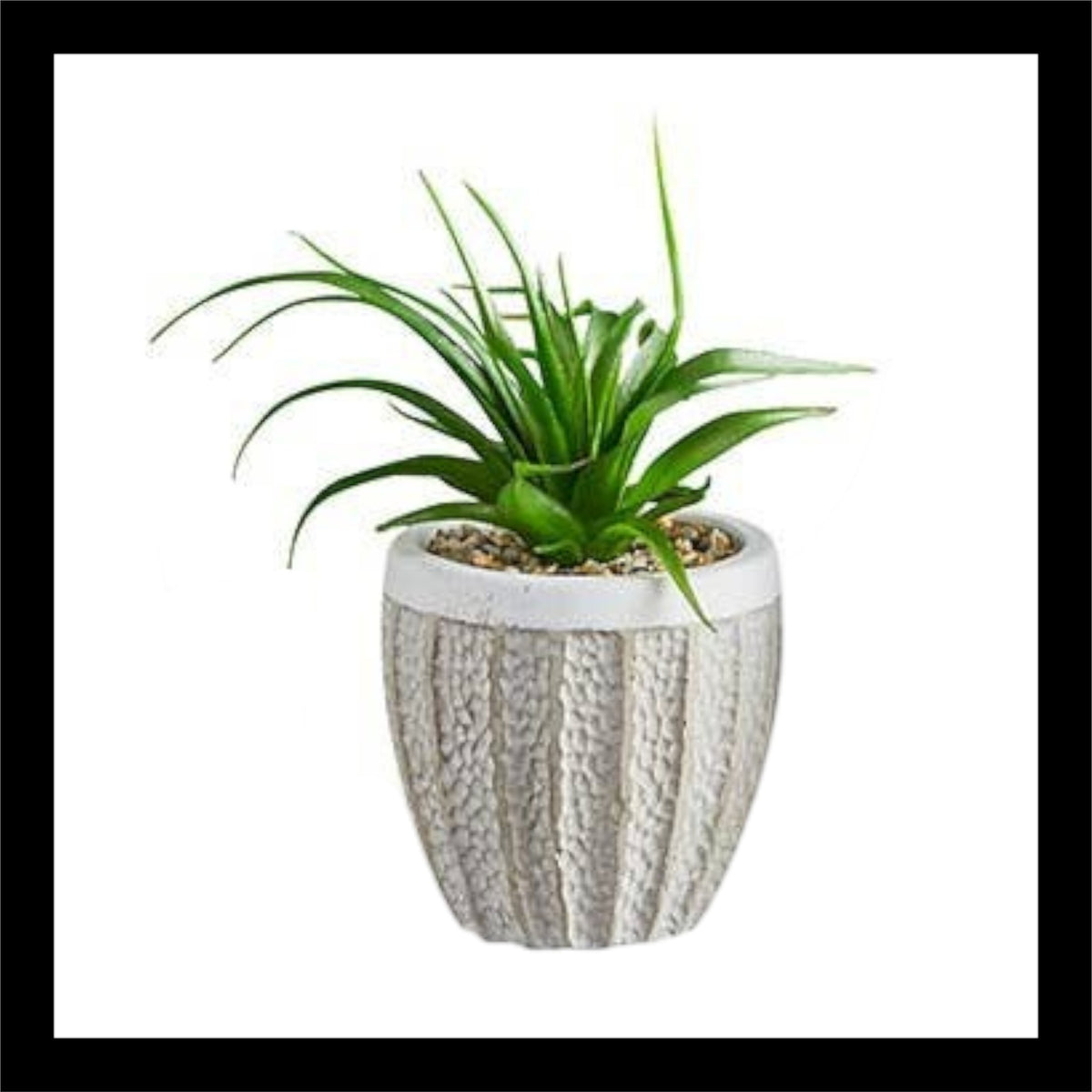 Faux potted spider plant – 3"x6" lifelike artificial greenery in a textured white pot with pebbles, perfect for modern home or office decor.