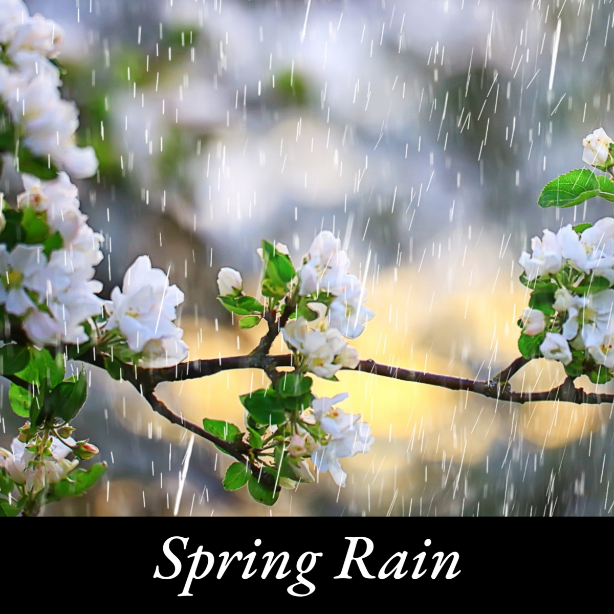 Spring Rain Scented Candle