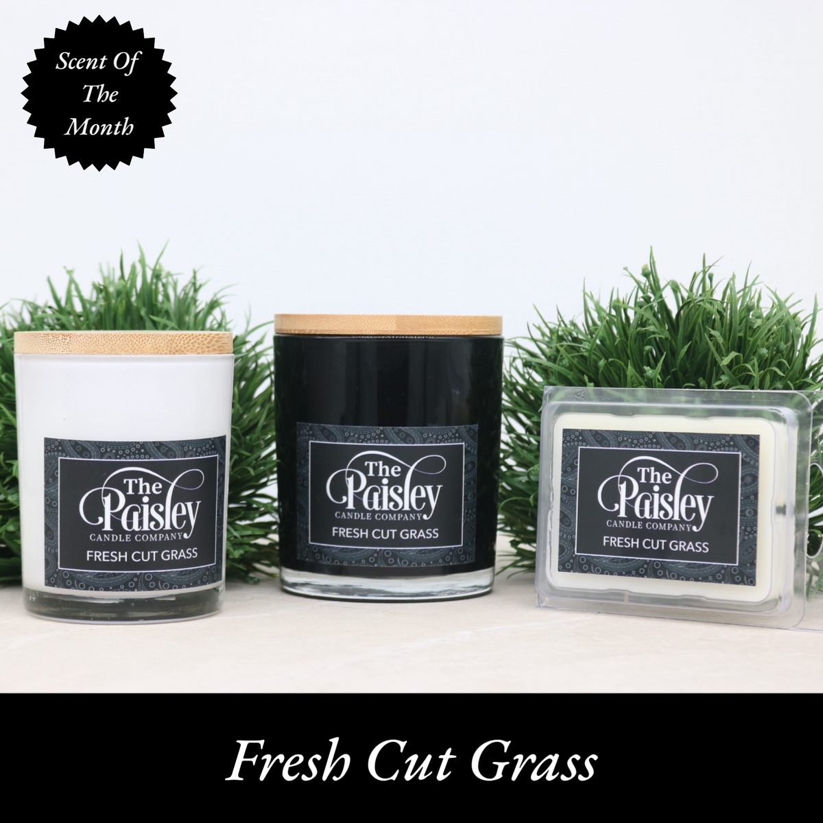 Fresh Cut Grass Candle and Wax Melt Collection by The Paisley Candle Company