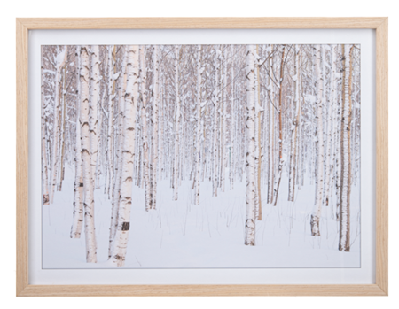 BIRCH FOREST WALL DECOR