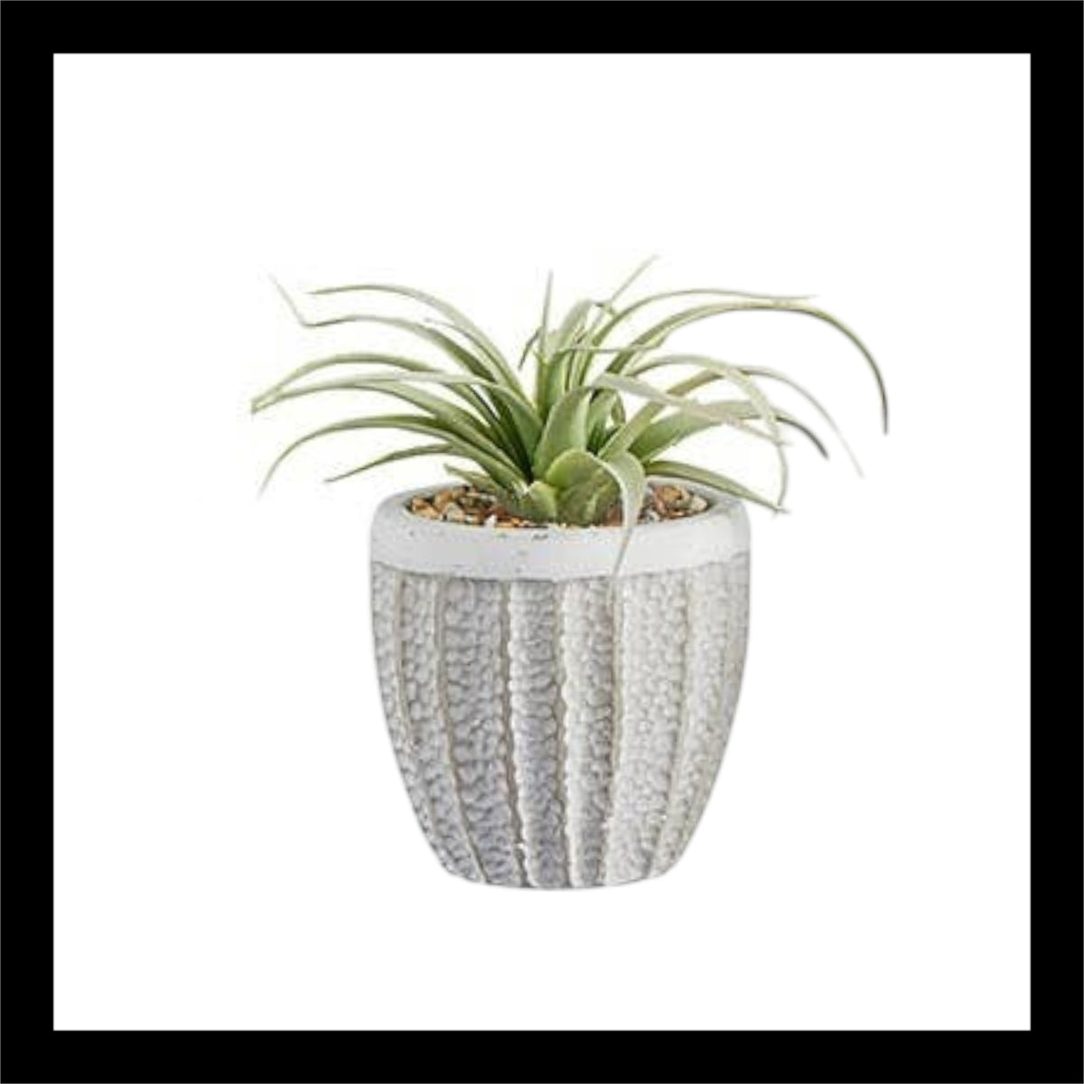 Faux potted air plant – 3"x6" realistic artificial tillandsia in a textured white pot with pebbles, perfect for modern home or office decor.