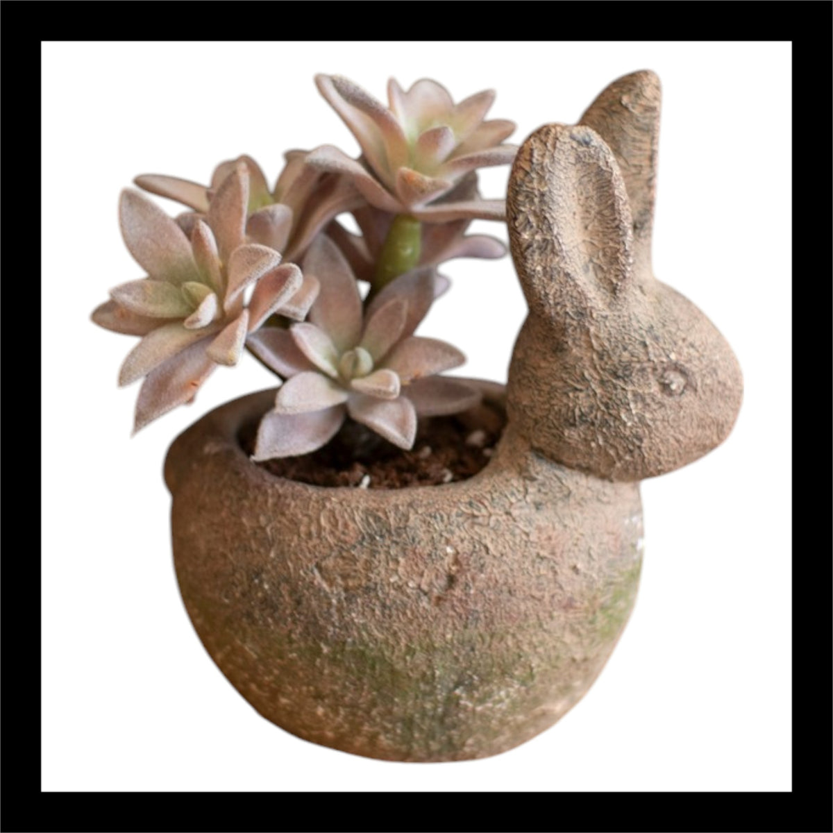 Rustic Terracotta Rabbit Planter