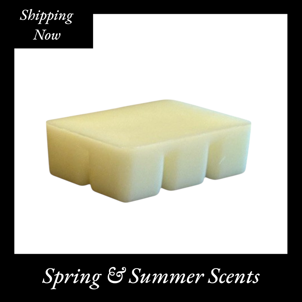 2.5oz Wholesale Wax Melt Spring & Summer Scents (Case of 4)