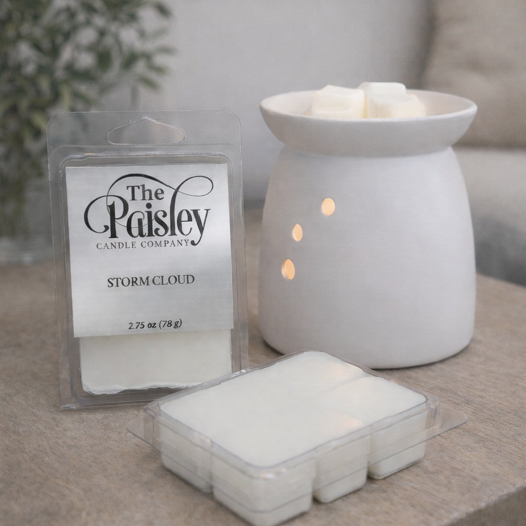 Storm Cloud wax melt by Paisley Candle Company with electric wax warmer in a cozy home setting