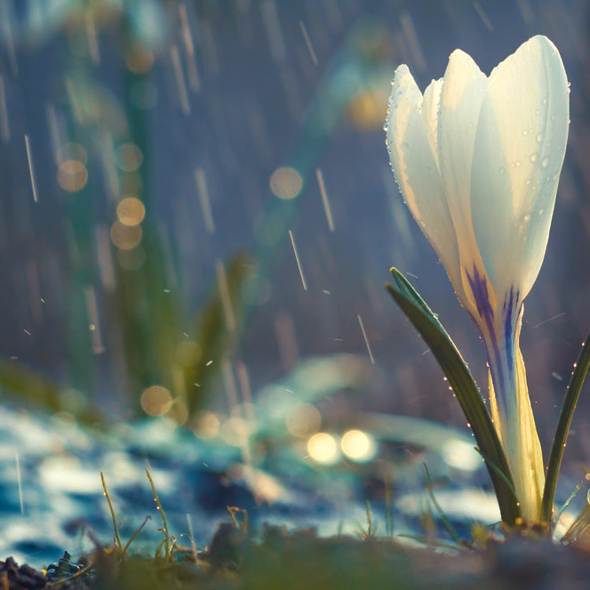 RAINDROP CANDLE
